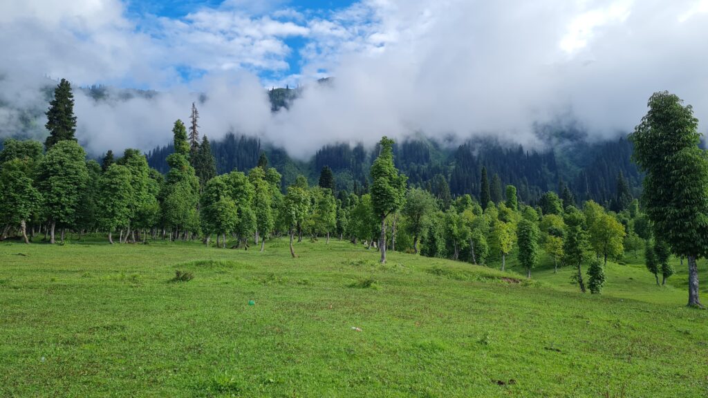 Areng Kel, One of the beautiful place of Kashmir, Pakistan traveling