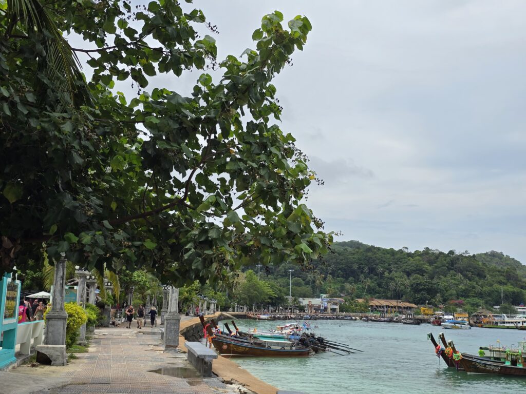 bustling and big Phi Phi island front area can be seen in the picture.