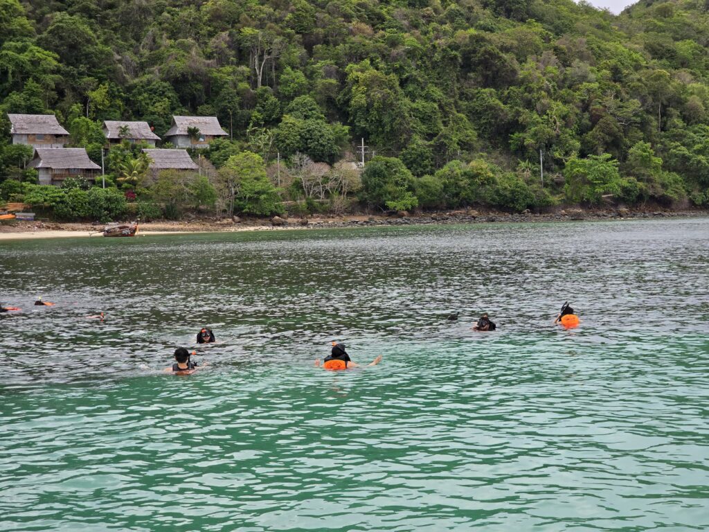 people are snorkeling in the shallow and crystal-clear water near Bamboo Island