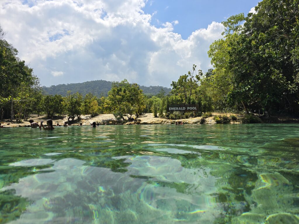 the pool water is fresh and clean, with beautiful green shade in the day light.