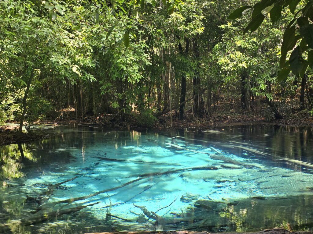 due to higher concentration of calcium carbonate the water in the pool looks blue.